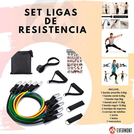 Kit de Bandas de Resistencia 5 Niveles – Entrena Todo tu Cuerpo en Casa o Donde Quieras | MisterTodo Perú - MisterTodo